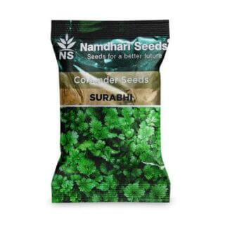 Namdhari Surbhi Coriander Seeds (Dhaniya Beej) – High Yield Hybrid Variety for Rabi Season