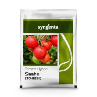 Saaho (TO-3251) Tomato Seeds | High Yielding Hybrid Seed by Syngenta