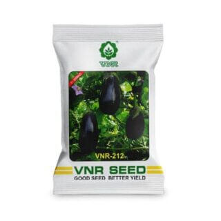VNR 212 Brinjal Seeds - F1 Hybrid, High Yield & Premium Quality seed