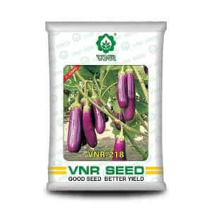 218 F1 Hybrid Brinjal Seeds – High Yield, Early Harvest, Light Purple Fruits