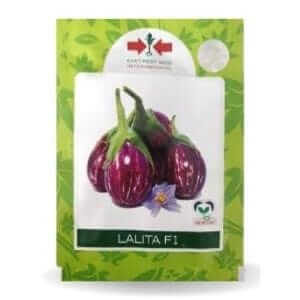 NAZIA F1 East West Brinjal Hybrid Seeds