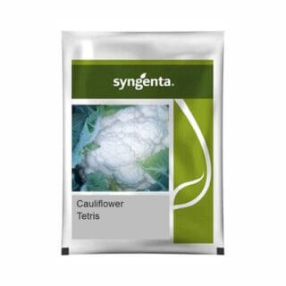 Syngenta Tetris Hybrid Cauliflower Seeds