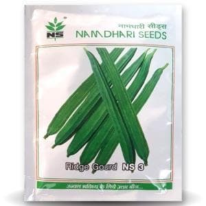 NS 3 F1 Hybrid Ridge Gourd Seeds – High Yield & Early Harvest Variety by Namdhari