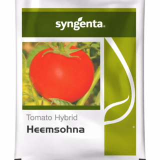 Heemsohna Tomato Seeds by Syngenta -Kisanjeevan