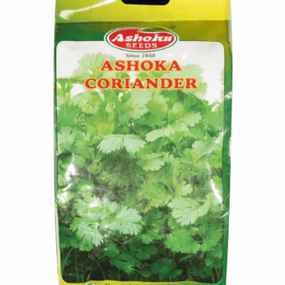 Late Bolting Coriander - Strong Rapid Growth, Aromatic, Multicut Seed
