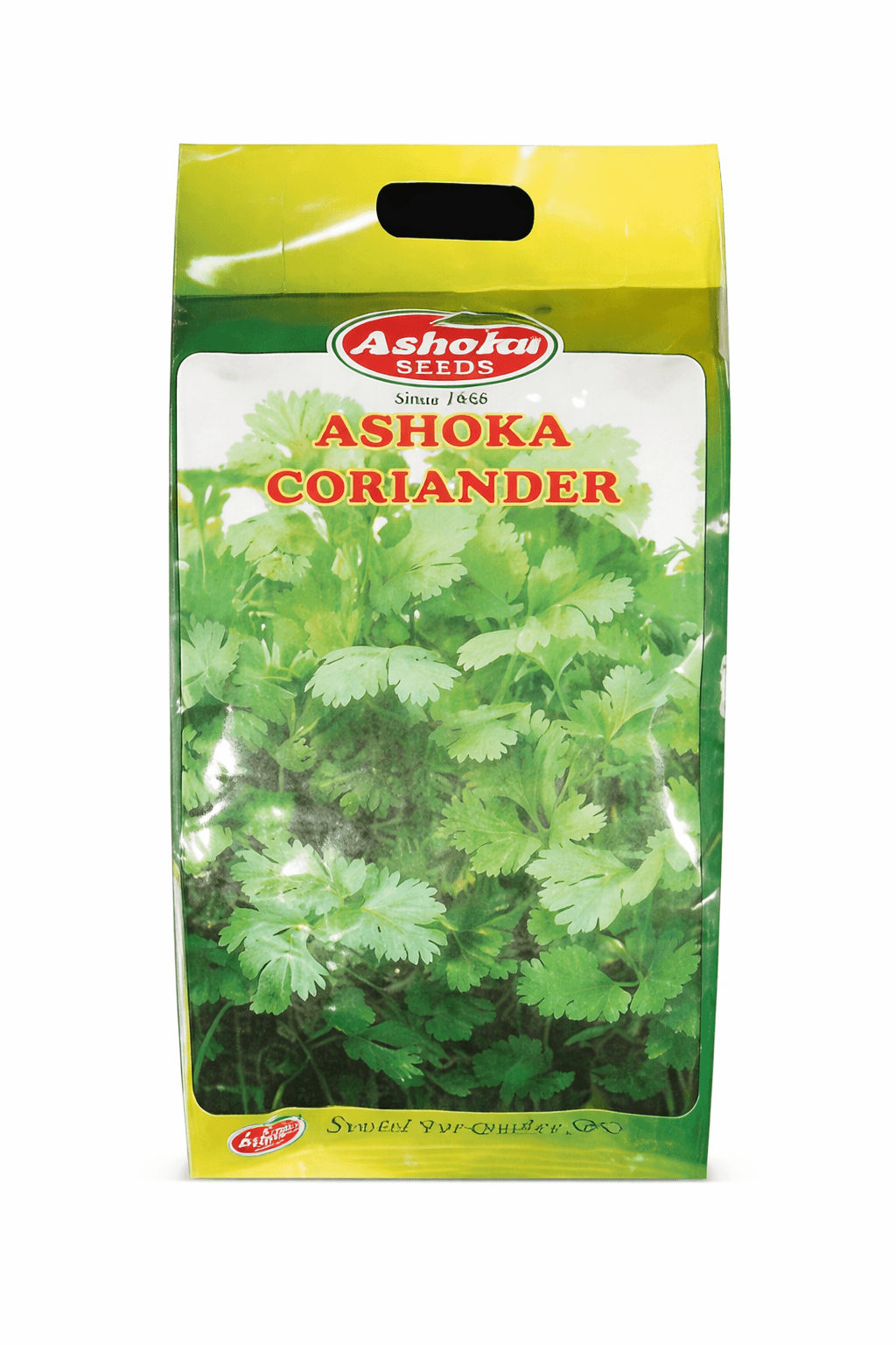 Late Bolting Coriander - Strong Rapid Growth, Aromatic, Multicut Seed