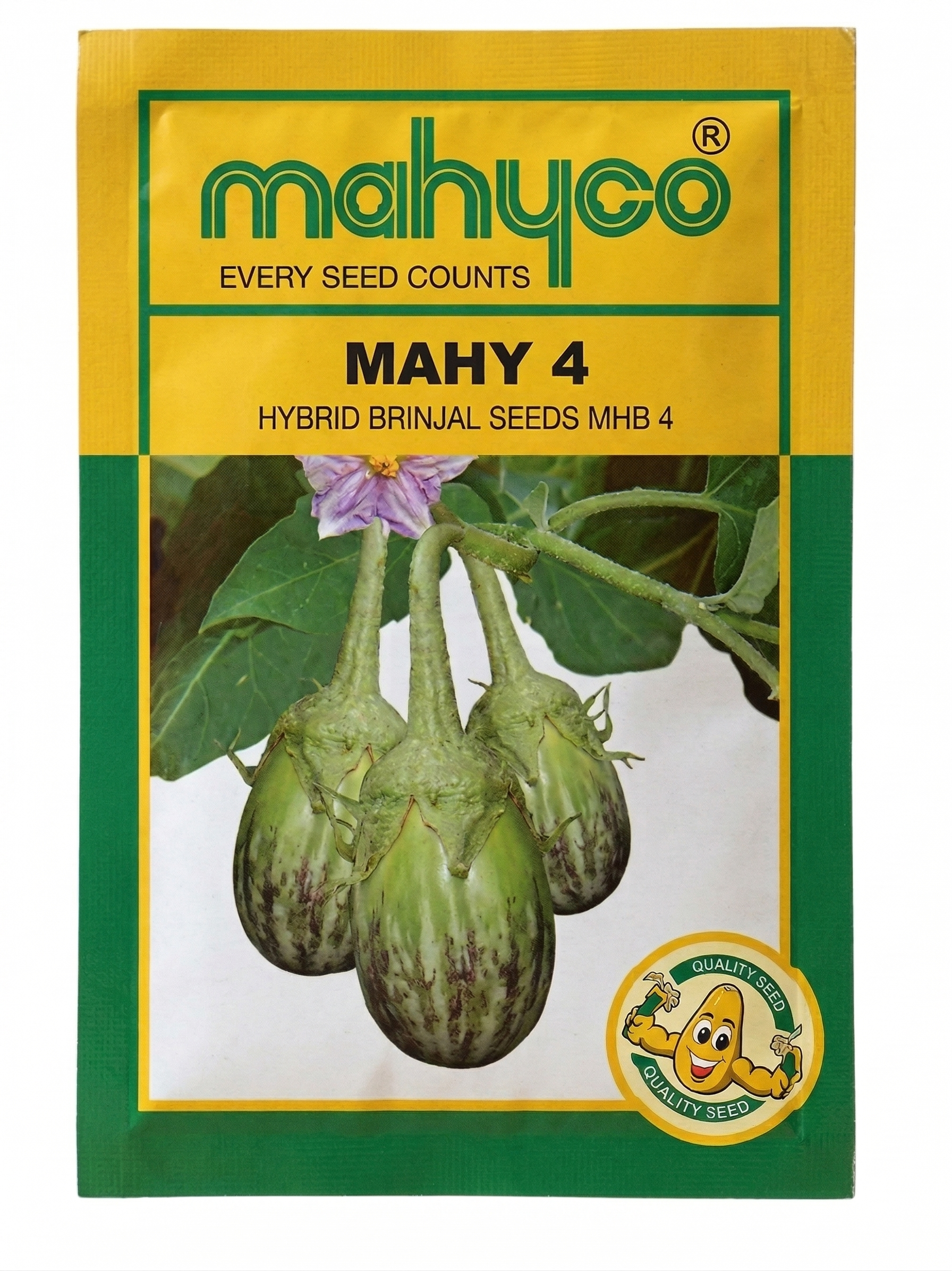 MAHY 4 MHB-4 BRINJAL Kisanjeevan