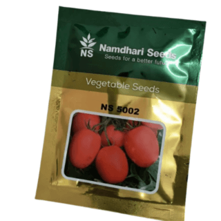 NS 5002 (1068) TOMATO SEEDS