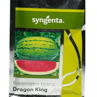 Dragon King Watermelon Seeds by Syngenta - Sweet & Hybrid Variety