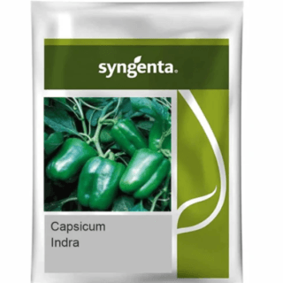 Indra Hybrid Capsicum Seeds - High Yield, Heat & Cold Set