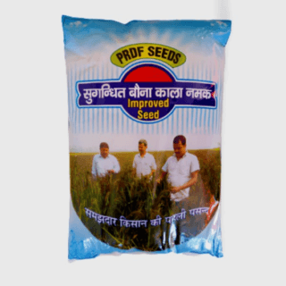 PRDF BAUNA KALA NAMAK - KN 3 Variety  (SENTED) KISANJEEVAN