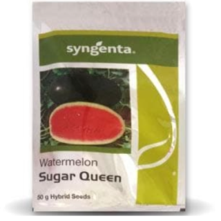Syngenta Sugar Queen Watermelon Seeds – High-Yielding Hybrid with Transport Durability