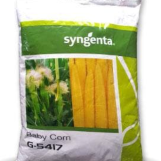 G5417 BABYCORN