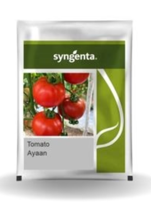 Ayaan Tomato Seeds - Deep Red, strong and fast growing, High Yield, Disease Tolerant