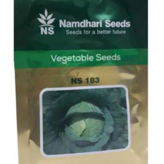 NS 183 F1 Hybrid Cabbage Seeds – Dark Green, Round Heads
