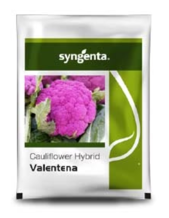 Syngenta Valentena Cauliflower Seeds – Purple Curd & Ideal for cool climate