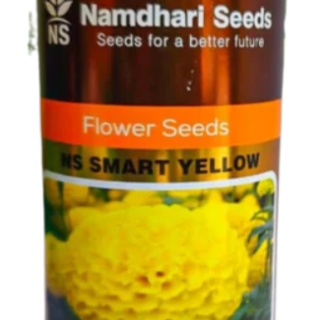 F1 HYB MARIGOLD NS 1501 (SMART YELLOW)