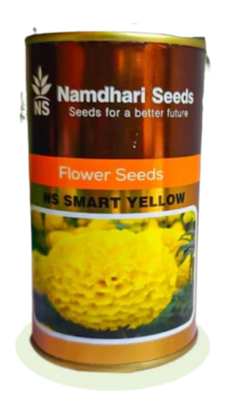 F1 HYB MARIGOLD NS 1501 (SMART YELLOW)