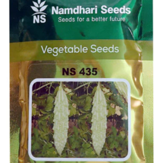 NS 435 - WHITE- BITTER GOURD ( एन एस 435 व्हाइट करेला ) सफेद