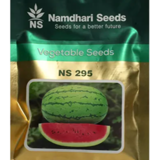 NS 295 Watermelon Seeds - F1 Hybrid & High Quality