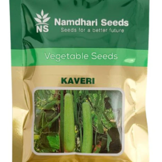 Kaveri F1 Hybrid Bottle Gourd Seeds - High Yielding | Namdhari Seeds