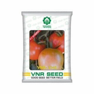 VNR 3348 F1 Hybrid Tomato Seeds – High Yield, Flat Round Fruits