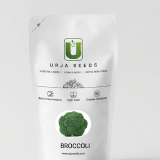 BROCOLLI F-1 HYBRID SEEDS