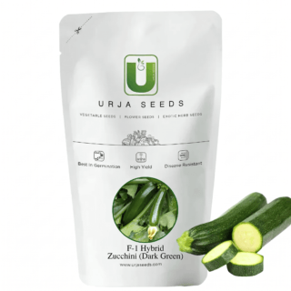 Urja Titan Zucchini F1 Hybrid Seeds – Quick-Germinating, High-Quality Seeds -Kisanjeevan