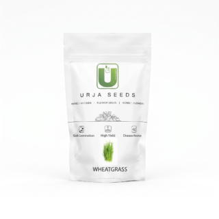 URJA WHEAT GRASS -Kisanjeevan