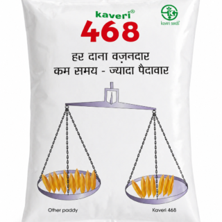 Kaveri 468 Paddy seed online