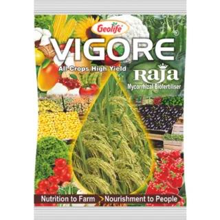 Geolife Vigore Raja Bio Fertilizer – Enhances Nutrient Absorption & Crop Productivity-Kisanjeevan