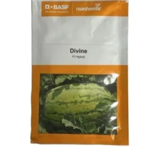 DIVINE Watermelon Seeds -Kisanjeevan
