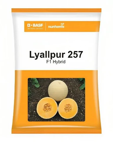 LYALLPUR 257 F1 hybrid Muskmelon Seeds -Kisanjeevan