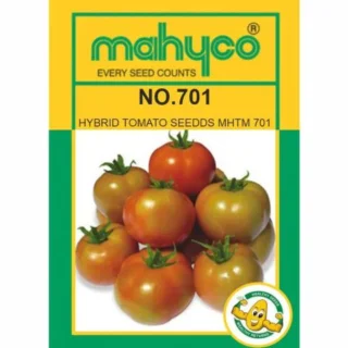 Machyo MAHY 701 Tomato- Semi-Indeterminate, Dark Red, White Shoulder -Kisanjeevan
