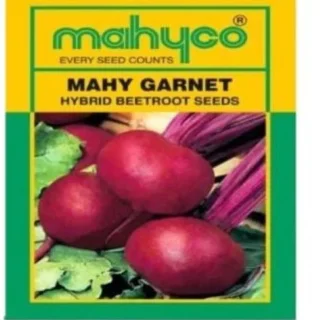 Garnet Beetroot Seeds -Kisanjeevan