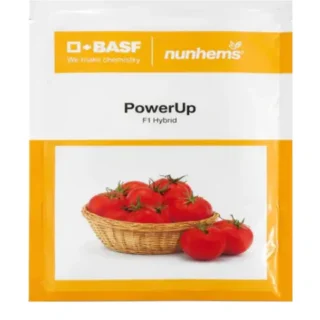 Power up F1 Hybrid Tomato Seeds-Kisanjeevan
