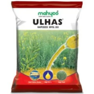 Mahyco Ulhas (MYSL 203) Mustard Seeds -Kisanjeevan