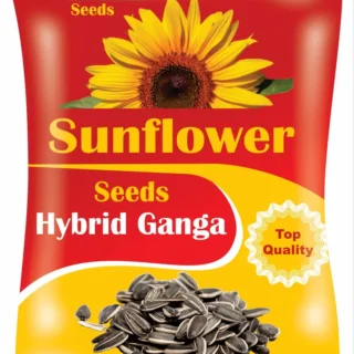 Kisanjeevan -Sunflower Seeds