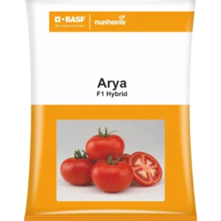 ARYA F1 HYBRID TOMATO -Kisanjeevan