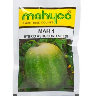 ASHGOURD HY. MAH-1 -Kisanjeevan