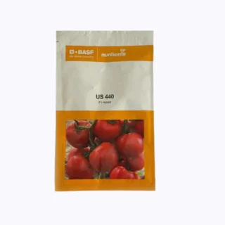 US 440 Tomato Seeds - Early maturity, Heat Tolerant, Firm Fruits -Kisanjeevan