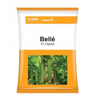 Belle Cucumber-Kisanjeevan