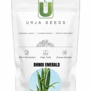 Bhindi F1 Ridhima Seeds – High-Yield & Disease Resistance -Kisanjeevan