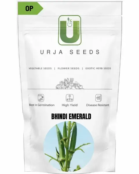 Bhindi F1 Ridhima Seeds – High-Yield & Disease Resistance -Kisanjeevan