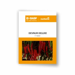 Devnur Deluxe Chilli Seeds - Early maturity, Traditional Byadgi, High Yield-Kisanjeevan