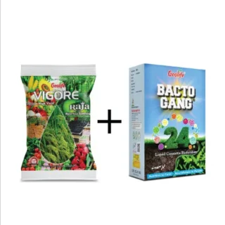 GEOLIFE VIGORE RAJA & BACTO GANG COMBO-Kisanjeevan