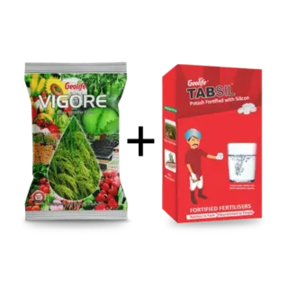 GEOLIFE VIGORE & TABSIL COMBO-Kisanjeevan