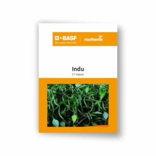 INDU F1 CHILLI SEEDS-Kisanjeevan