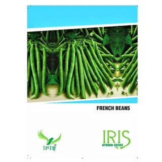 Iris Hybrid French Beans - All Season, Balcony Friendly, Quick growing-Kisanjeevan