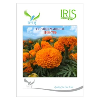 Iris Marigold Orange IHS-786 F1 Hybrid Seeds – High Yield-Kisanjeevan